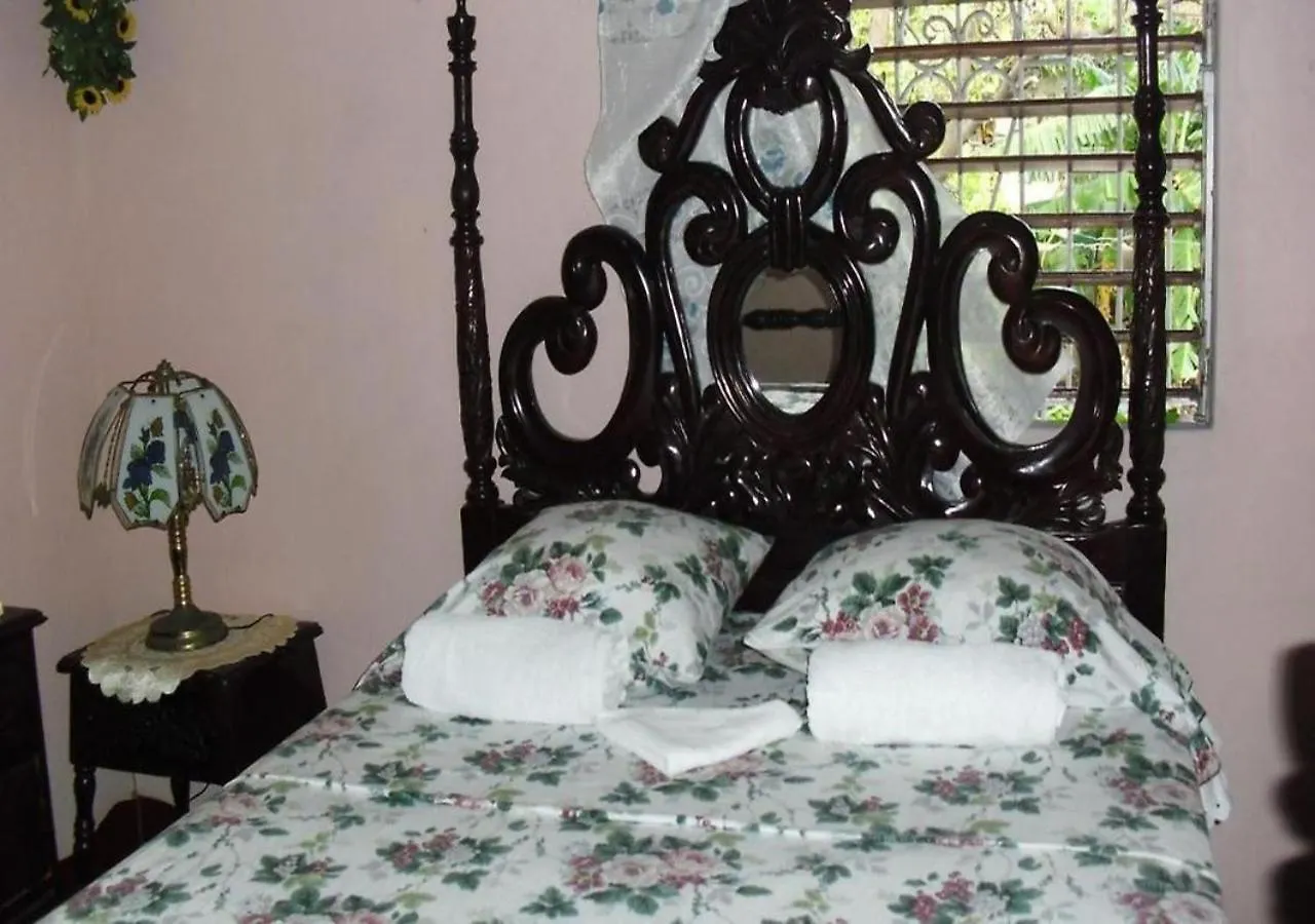 לינה וארוחת בוקר Kingston Airport Bed And Breakfast
